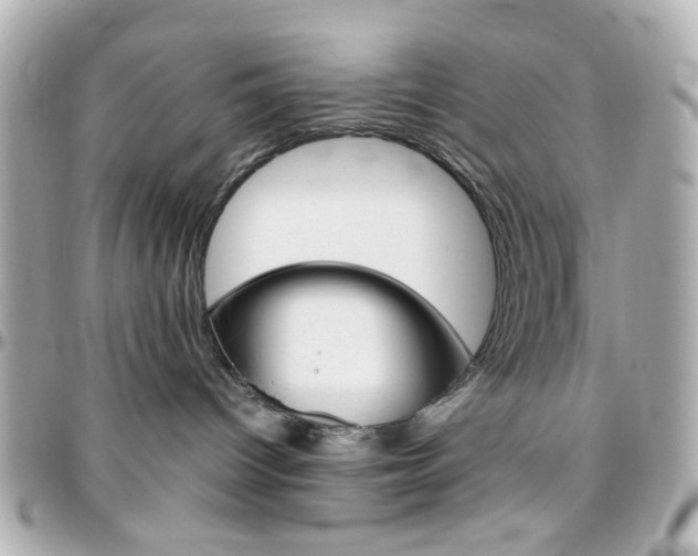 X0000096400096200801241013