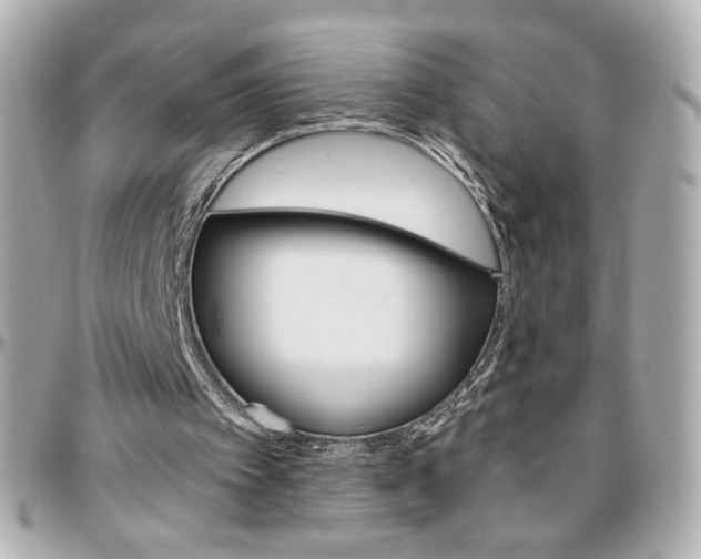 X0000096400097200801241012