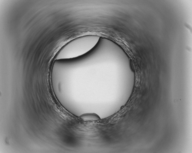 X0000096400098200801241012