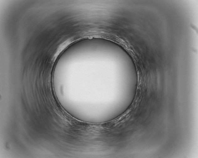 X0000096400099200801241012