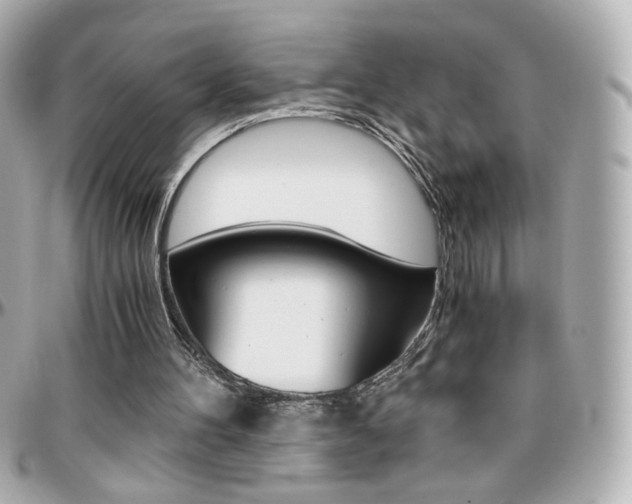 X0000096400100200801241012