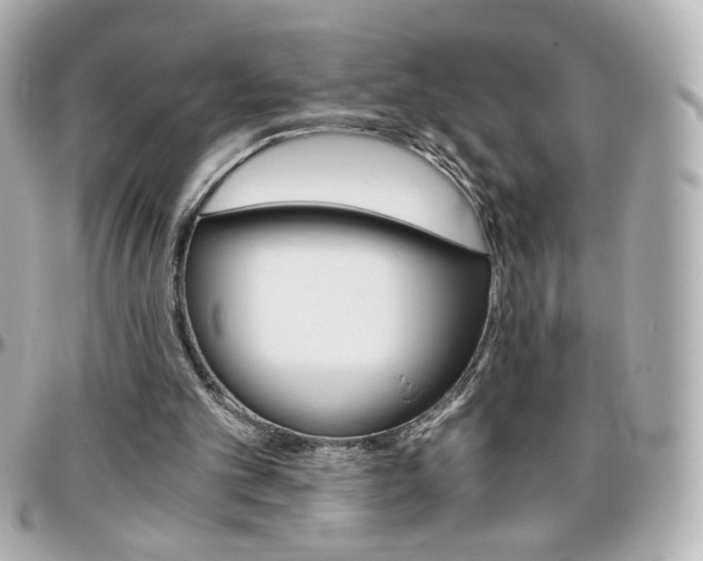 X0000096400101200801241012