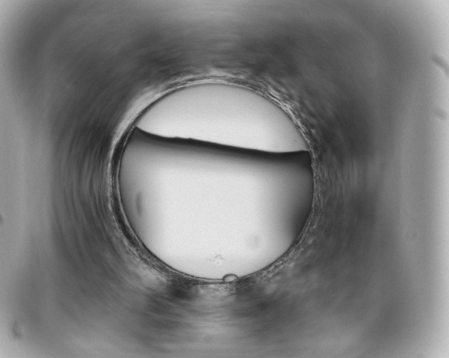 X0000096400102200801241012