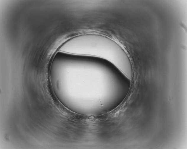 X0000096400103200801241012