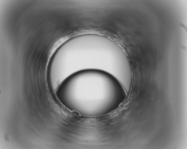 X0000096400104200801241012