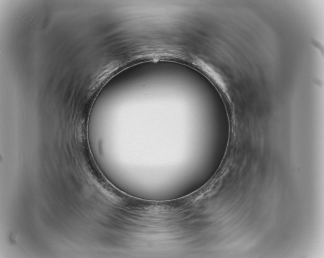 X0000096400105200801241012