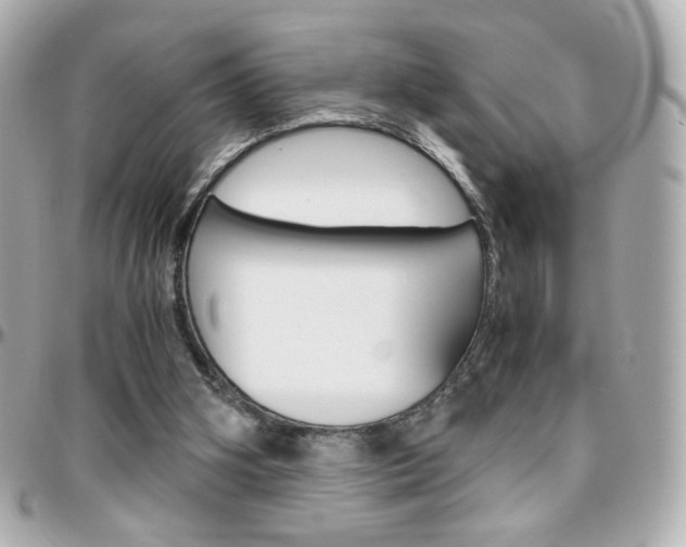 X0000096400106200801241012