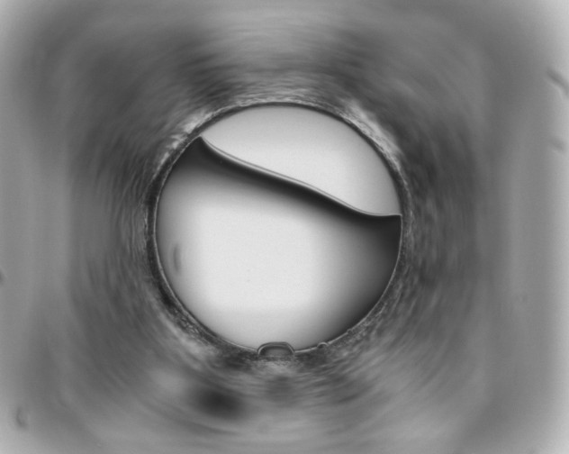 X0000096400107200801241012