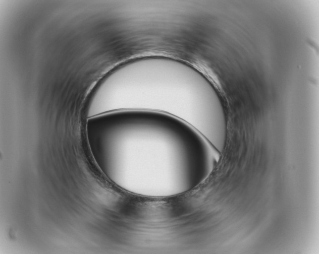 X0000096400108200801241012