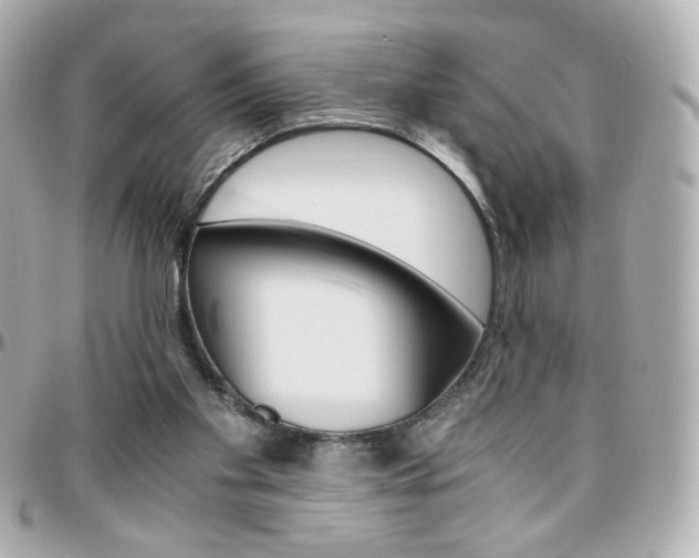 X0000096400109200801241012