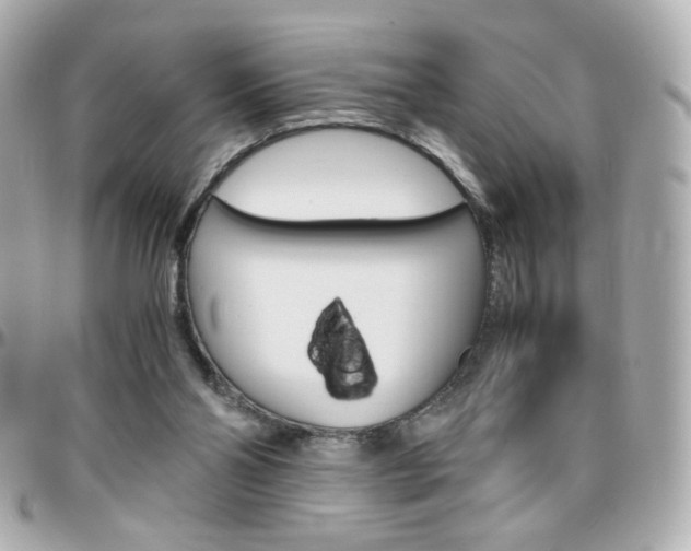 X0000096400110200801241012