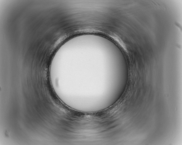 X0000096400111200801241012