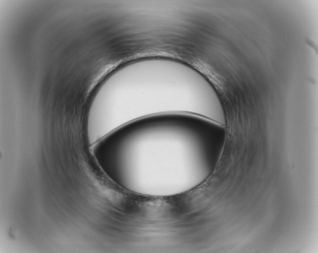 X0000096400112200801241012