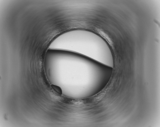 X0000096400113200801241012