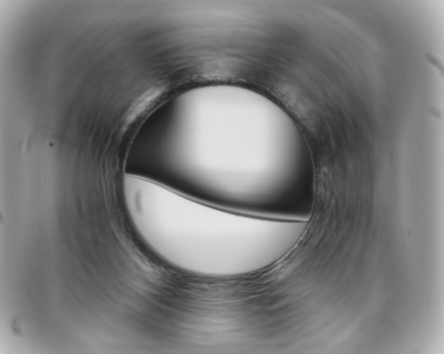 X0000096400116200801241012