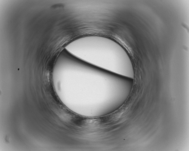 X0000096400117200801241012