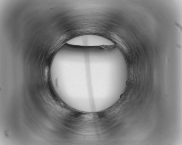 X0000096400118200801241012