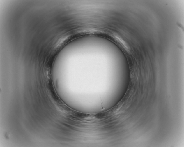 X0000096400119200801241012