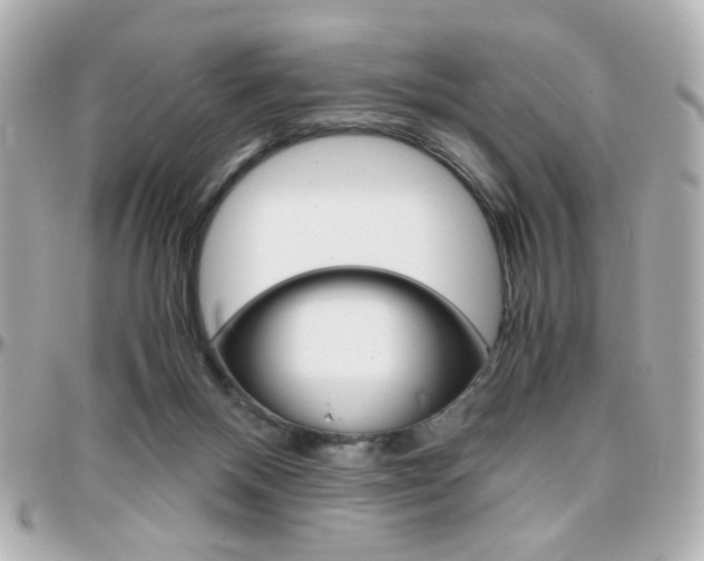 X0000096400120200801241012