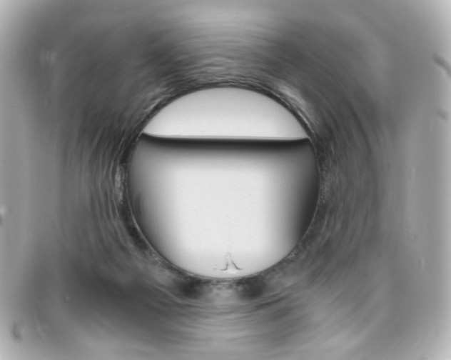 X0000096400121200801241012