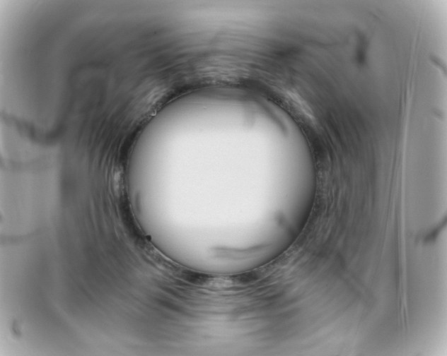 X0000096400123200801241012