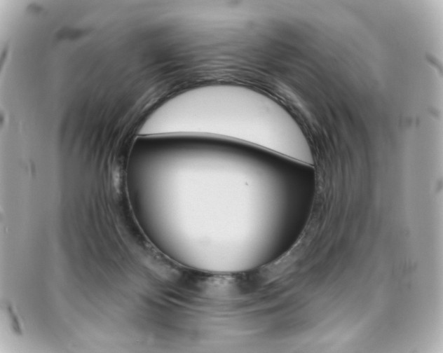 X0000096400124200801241012