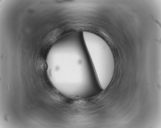 X0000096400125200801241012