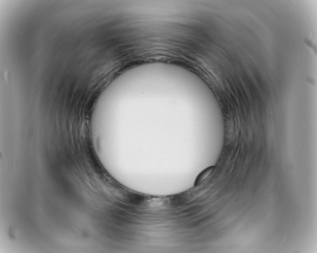 X0000096400126200801241012