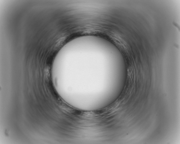 X0000096400127200801241012