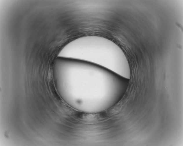 X0000096400129200801241012