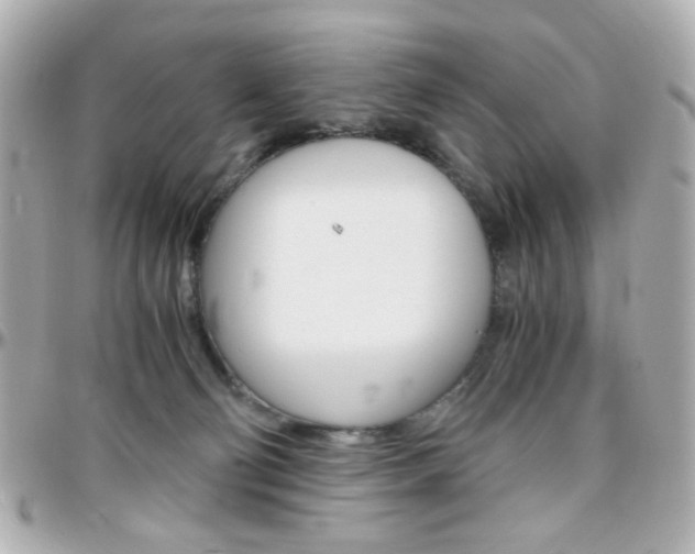 X0000096400130200801241012