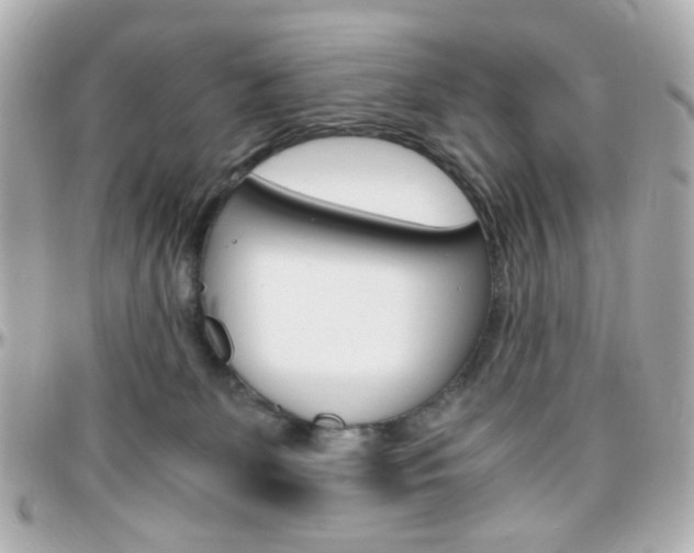 X0000096400131200801241012