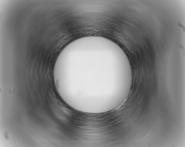 X0000096400132200801241012