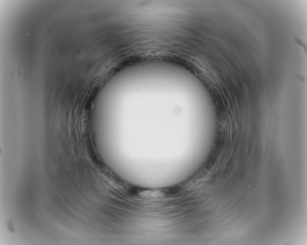 X0000096400133200801241012