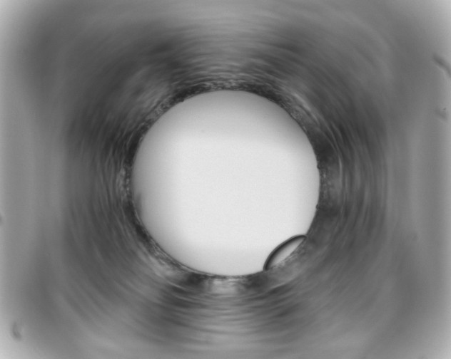 X0000096400134200801241012