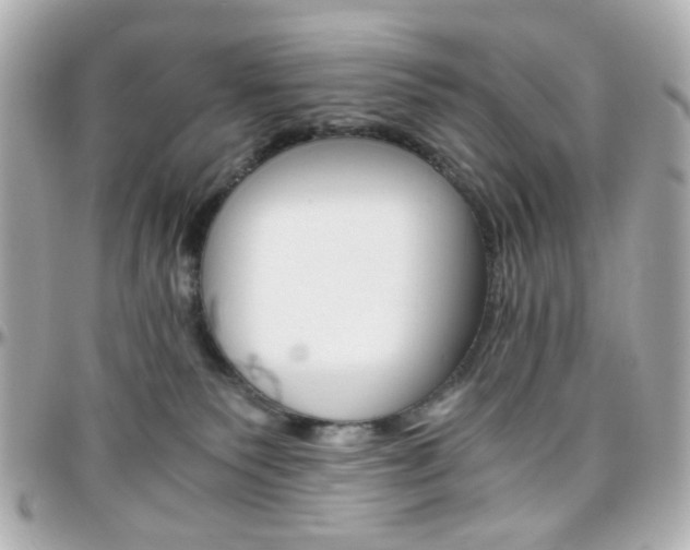 X0000096400135200801241012