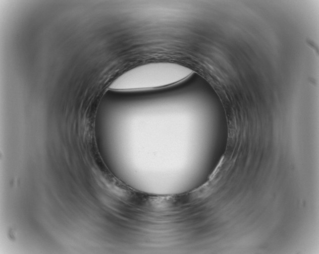 X0000096400136200801241012