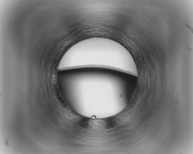 X0000096400137200801241012