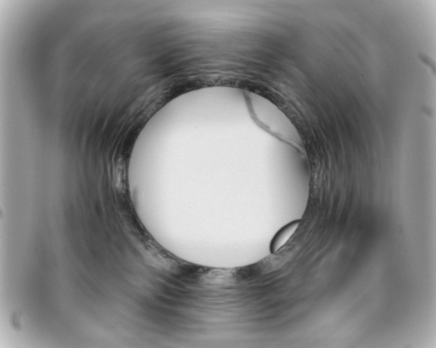 X0000096400138200801241012