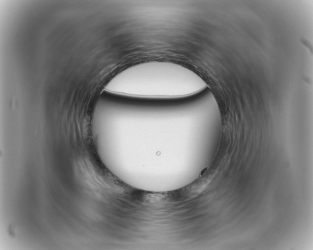 X0000096400139200801241012