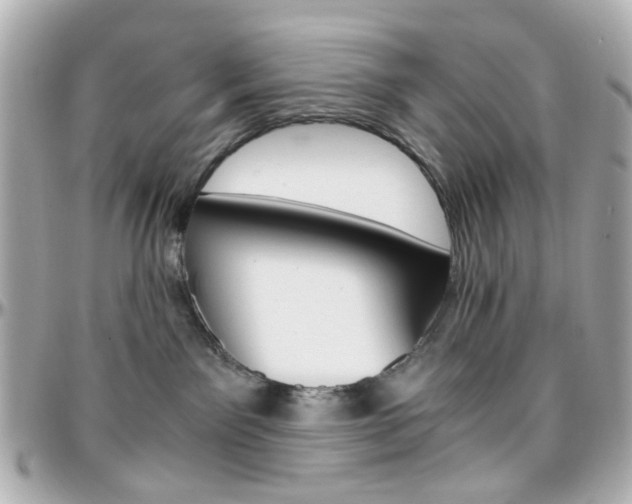 X0000096400141200801241012