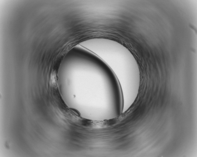 X0000096400143200801241012