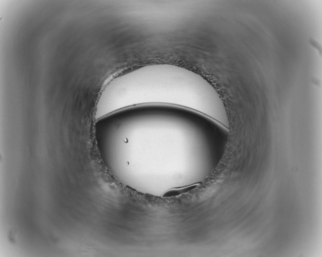 X0000096400144200801241012