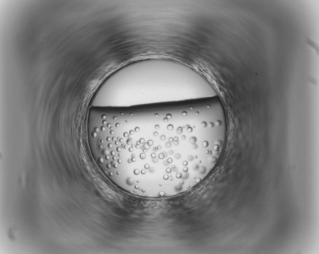 X0000096400145200801241011