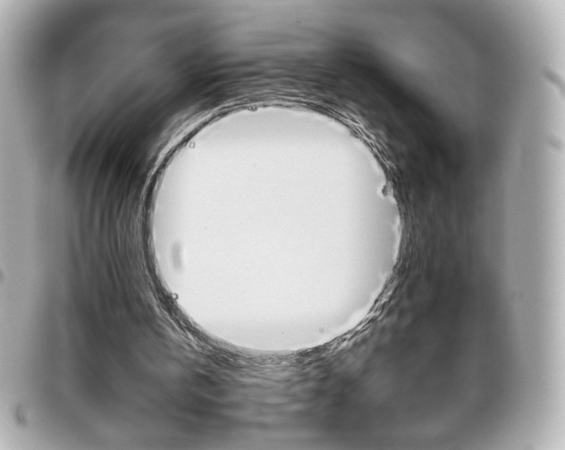 X0000096400146200801241011