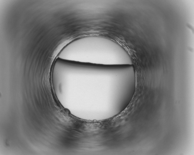 X0000096400147200801241011