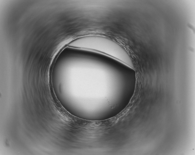 X0000096400148200801241011