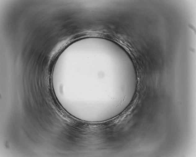 X0000096400149200801241011