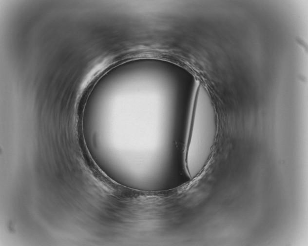 X0000096400150200801241011