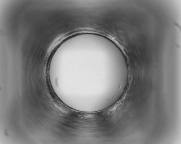 X0000096400151200801241011